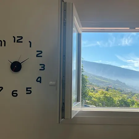 Ecologica Days La Orotava