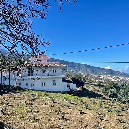 Ecologica Days * La Orotava