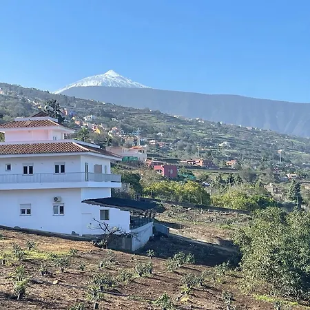 Sea View Avocado Finca Ten Days La Orotava