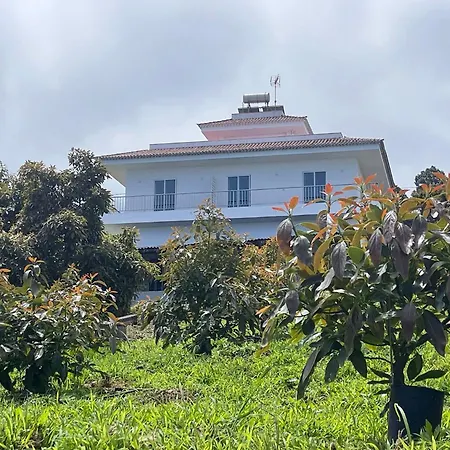 Sea View Avocado Finca Ten Days Apartment
