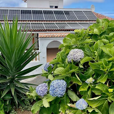 Sea View Avocado Days Appartement La Orotava