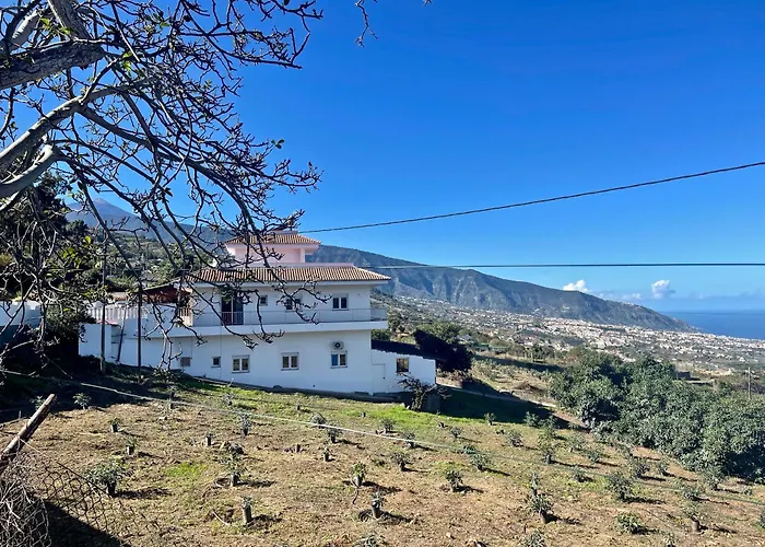 Ecologica Days * La Orotava